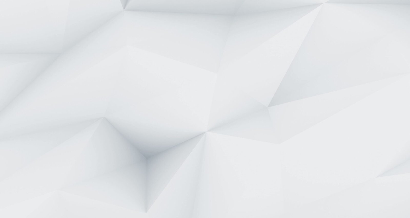 demo image 00001