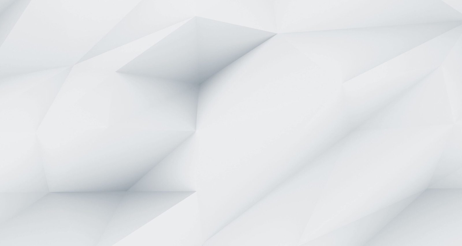 demo image 00003