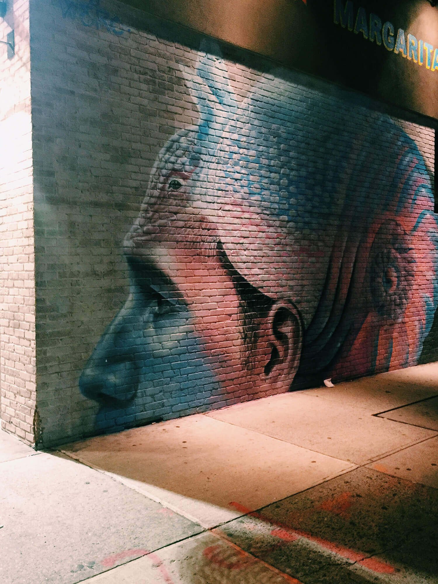 jon tyson spim6y8wa7y unsplash